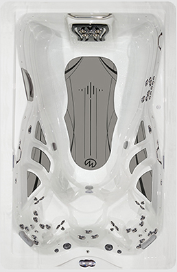 Master Spa Trainer 12